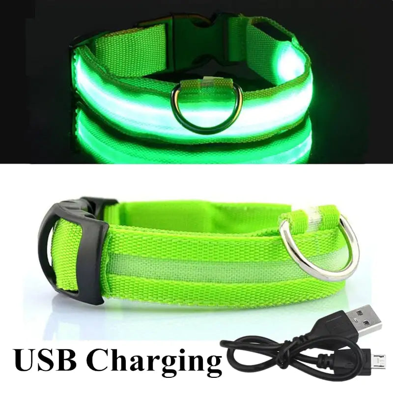 Collar de perro LED para acampar