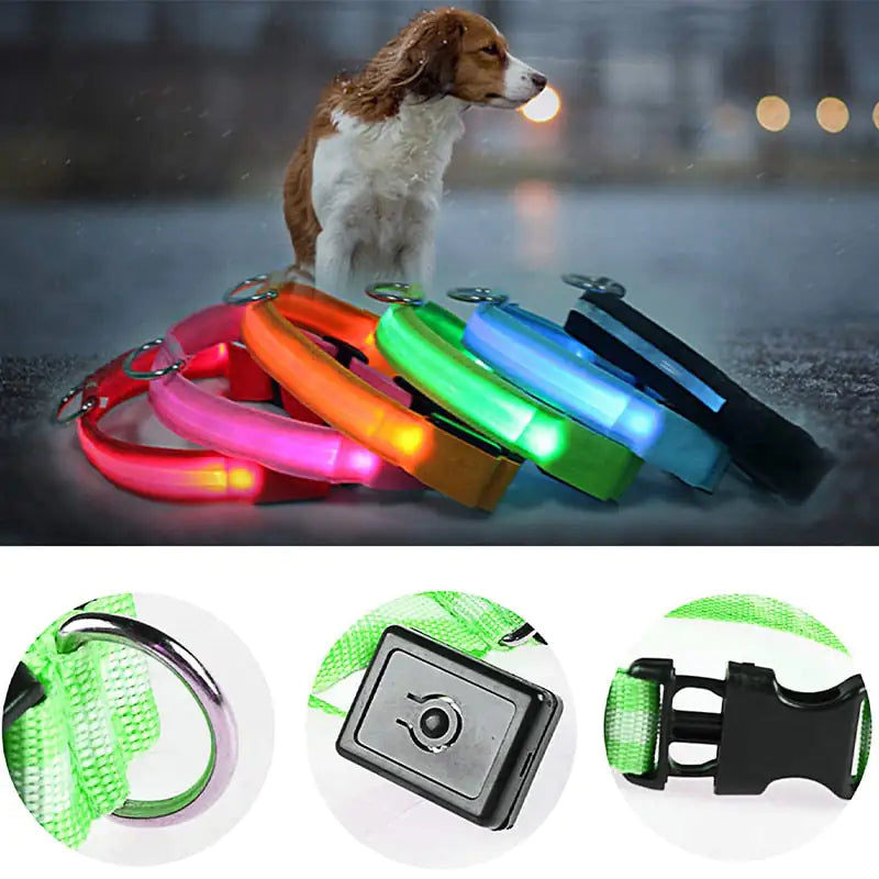 Collar de perro LED para acampar