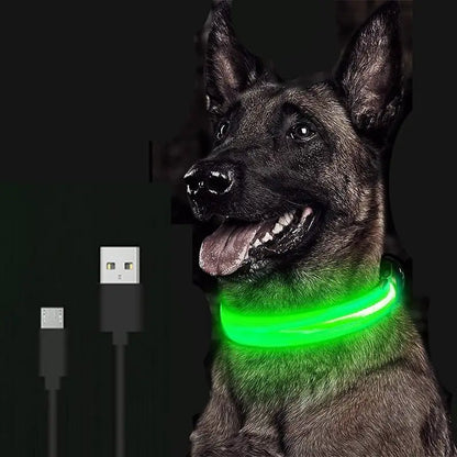 Collar de perro LED para acampar