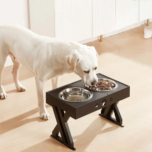 Double-Bowl Dog Feeder