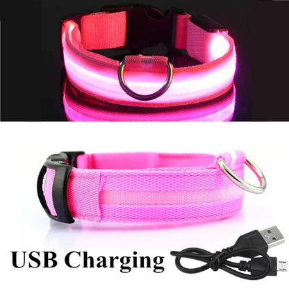 Collar de perro LED para acampar